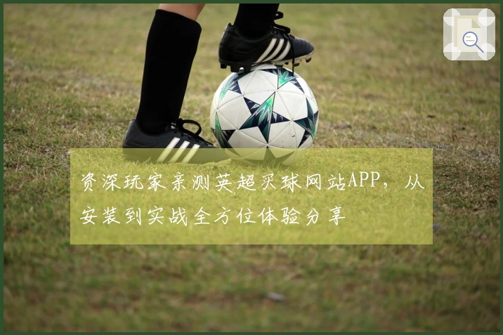 资深玩家亲测英超买球网站APP，从安装到实战全方位体验分享