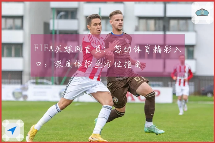 FIFA买球网首页：您的体育精彩入口，深度体验全方位指南